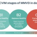 올림픽동물의료센터 이미지