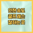 세븐일레븐 송도글로벌점 | 2025 최신 인천 송도 골프 연습장 레슨 잘 하는 곳 추천