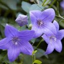 성사천어린이공원 이미지