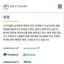 스카이팀 이미지
