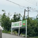 보타니 | [천안] 귀엽 뽀짝한 그릇 소품샵 &#39;보타니샵&#39; 방문후기