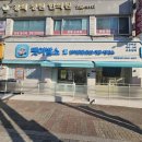 개과천선 | 영등포 애견미용 당일예약으로 스트레스 줄인 후기