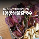 큐리오시티 | 부산 기장 롯데아울렛 맛집 용궁해물칼국수 동부산 용궁사 가족외식 추천