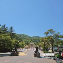 [증평]벨포레 놀이동산, 내돈내산 솔직후기, 모르고가면 고생하는 꿀팁, 푸드코트 후기,