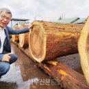한국목재(주)