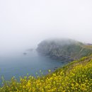 장자산체육공원 이미지