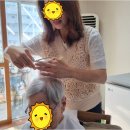 가족같은 노인요양복지센터 | 신탄진에서 가족 같은 마음으로 돌보는 동행노인복지센터의 방문요양 서비스 알아보기