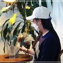 디자인모 쇼핑하우