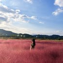 장기리마을회관 이미지