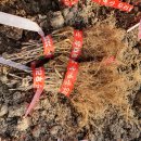 용진1농장 이미지