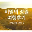 비밀정원 | 비밀의 정원 여행후기: 강원 인제 가볼 만한 곳! 새벽안개 절경, 인생 샷 성지 출사 꿀팁