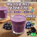 수배농장 | [공지] 매일 아침 공복에 마시는 보라색 기적! 아로니아 블루베리 검정콩 두유 주스 효능과 후기
