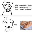 5929 | 너무 무섭고 수치스러워요..(?) 안양 셜록홈즈 범계점 <우리> 방탈출 2인 후기