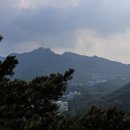 석수농장 | 북한산 둘레길 12코스 호암산 구간