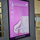 신항부부한의원 | 예비 신부의 한약 다이어트 후기[1일차, 환과 한약의 차이, 내돈내산]