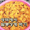 금진대게민박 | 전국일주 영덕 금진2리 작은항구에서 말똥성게 먹기