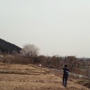 후계자주말농장 이미지