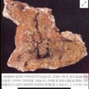 결투