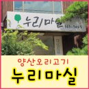 누리오리