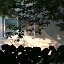 농부의믿는구석 이미지