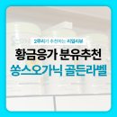 골든스푼 | 국산분유 쏭스오가닉 골든라벨 3통째 내돈내산후기