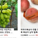 과일청년 이미지