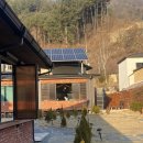 고양이숲 이미지