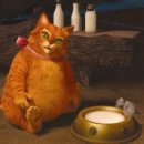 모범닭집 이미지