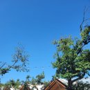 보령-주산-1 | 보령 캠핑장 수림휴원, 아이와 함께 찐 가족캠핑 체험기 🏕️