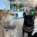 어템포가든