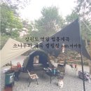꺼먹돼지촌 | #5. 20200626 강원도 영월 '소나무와 계곡' 캠핑장 with 캠핑칸 마카돔 카키 & K타프 첫 피칭 / 캠핑장...
