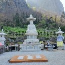 울릉도바닷가 상일펜션 이미지