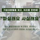파실래요사실래요