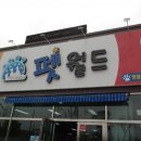 월드애견 이미지