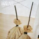 마녀빗자루 네이버블로그