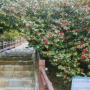 동백자연에너지 이미지