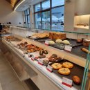 애견운동공원(3~10월) 이미지