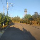 하원동-2 이미지