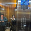[해외여행] 중국 상하이 :: 대구-상해 3박 4일 여행. 래디슨 컬렉션 하이랜드 상하이. 솔직후기 장/단점.