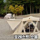 포레스트소울 이미지