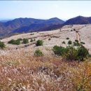 양동목장 이미지