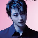 캐릭터그루밍 이미지