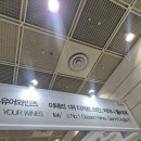 2026 코엑스 서울국제주류와인박람회 만취행사 (술추천)