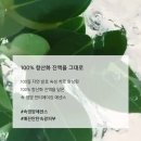 빈티지트러블