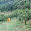 예찬농장 이미지