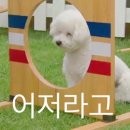 브이비비 이미지