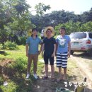 남산토종닭농장 네이버블로그