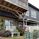 브로콜리 민박 이미지