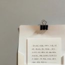 강릉애견하우스 이미지