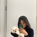 위드퍼피숑 이미지